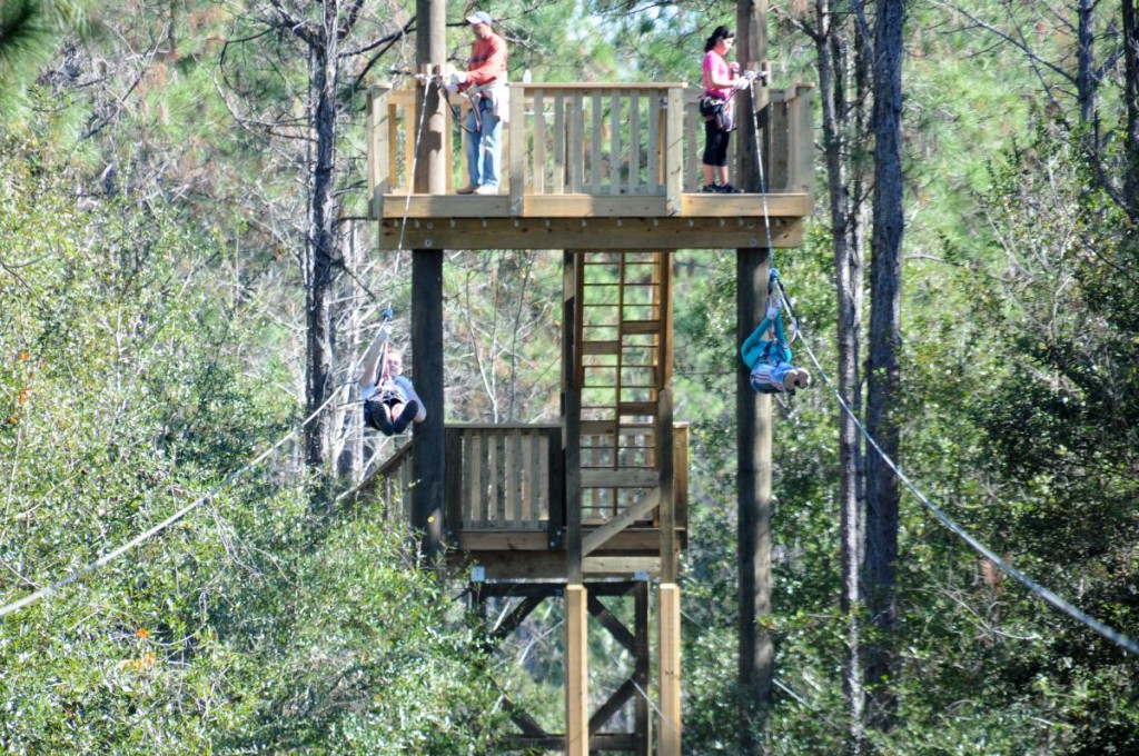 Tree Trek Adventure Park oferece adrenalina e diversão em Orlando