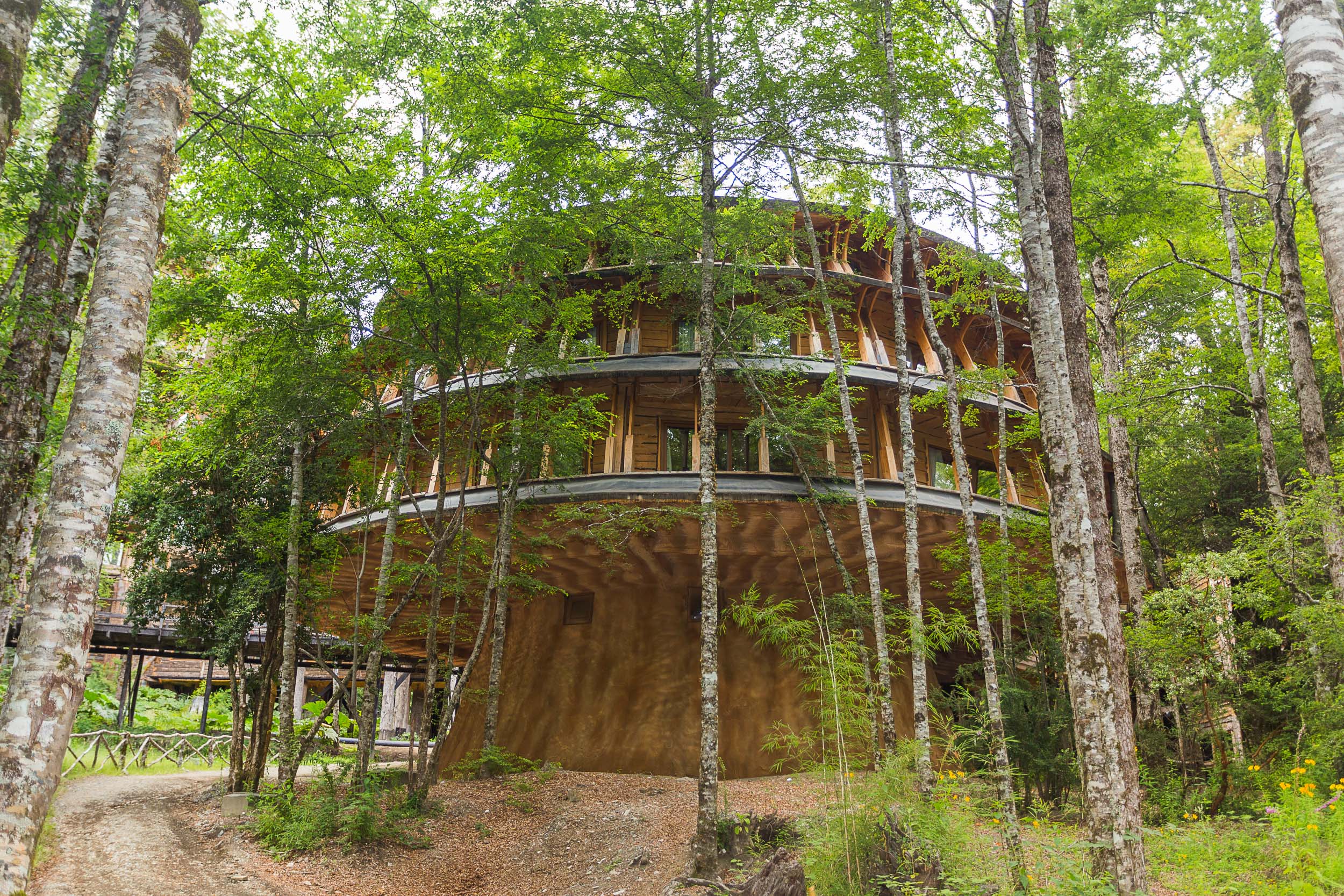 Reino Fungi, hotel que imita o formato de um cogumelo - Divulgação 