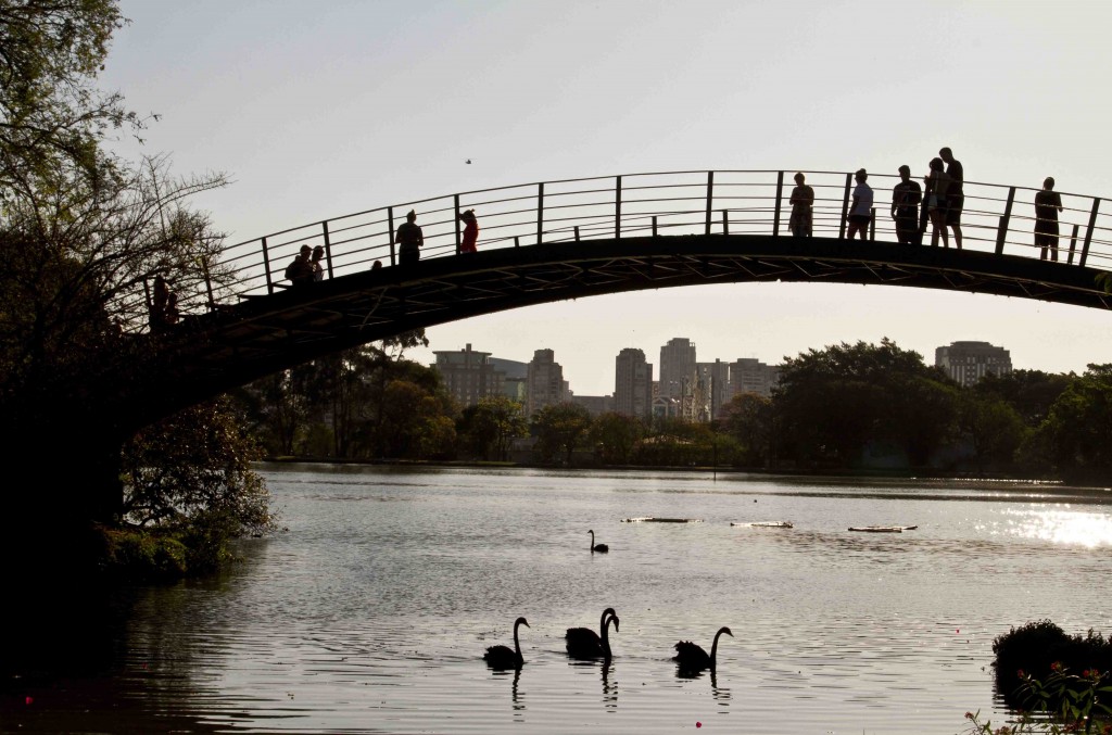 Parque Ibirapuera – São Paulo (SP) – 09.09.2014 – Geral - O Parque Ibirapuera reúne diversas opções de lazer, esporte e cultura, entre bosques, jardins, gramados e um lago. Av. Pedro Álvares Cabral, s/n Vila Mariana. Fotos: Jose Cordeiro/SPTuris