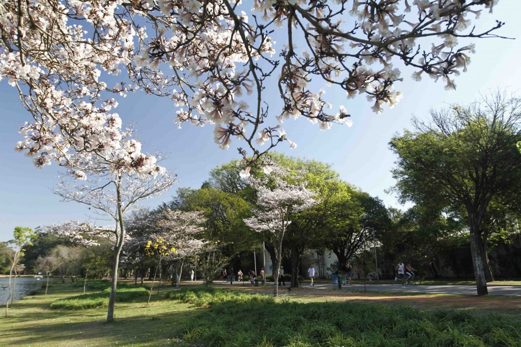 O Parque Ibirapuera reúne diversas opções de lazer, esporte e cultura, entre bosques, jardins, gramados e um lago. Av. Pedro Álvares Cabral, s/n Vila Mariana. Fotos: Jose Cordeiro/SPTuris