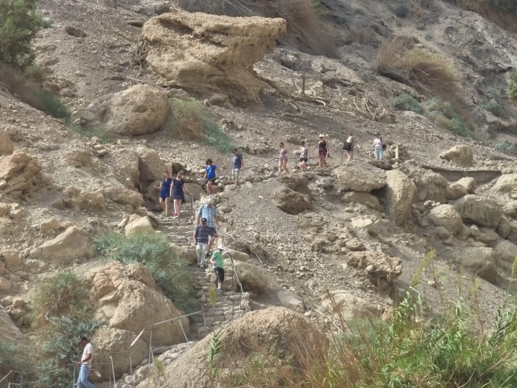 Turistas caminham em outra trilha em En Gedi: várias opções de caminhos - todos sinalizados