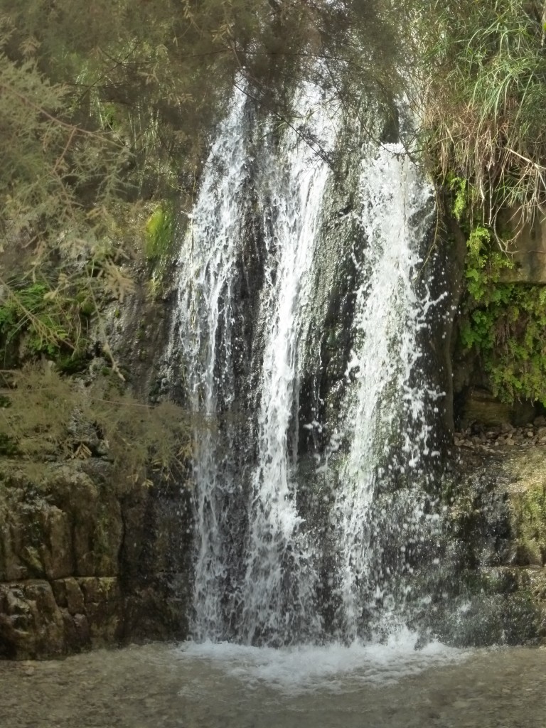 A maior cachoeira da trilha leve em En Gedi: ótima para tomar banho e desestressar