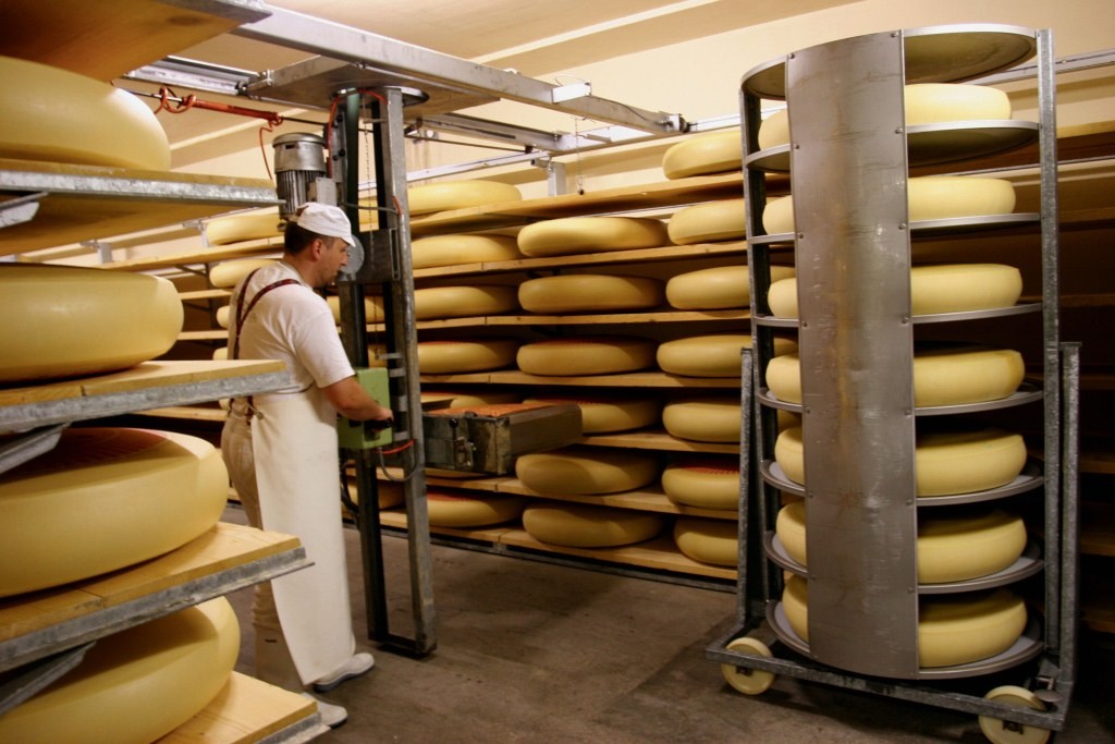 Produção do queijo suíço Emmentaler (foto reprodução do site www.schweizerkaese.ch)