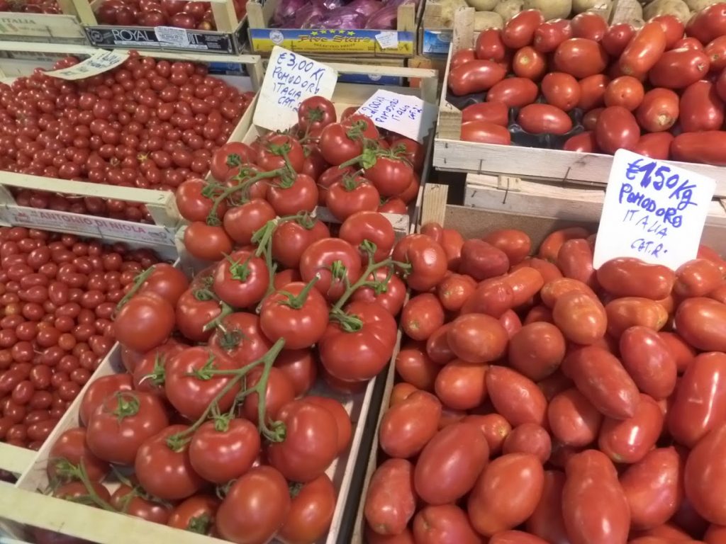 Várias espécies de tomate