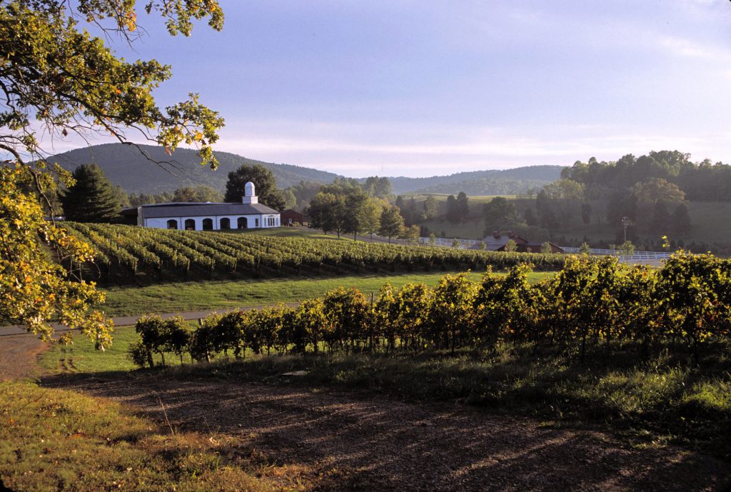 Barboursville Vineyards (fotos divulgação/Região da Capital dos Estados Unidos)