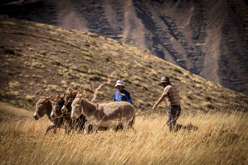 Turismo Rural no Peru