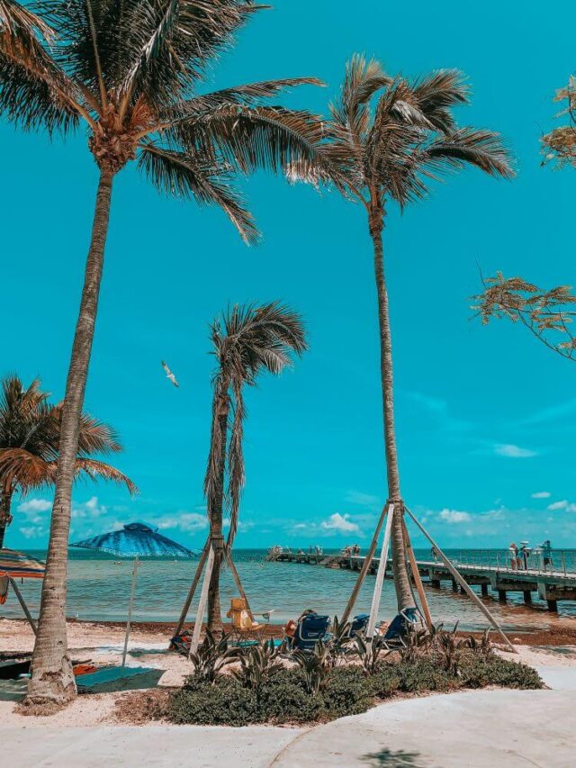 3 Road trips incríveis pela Flórida | Turismo ETC