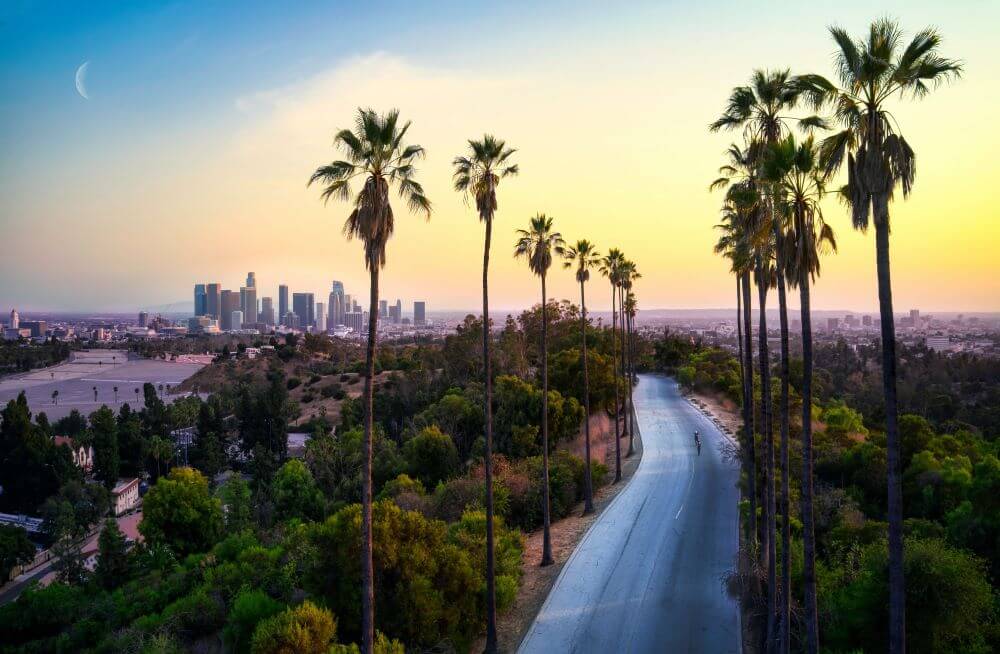 Usar um carro alugado em LA vale a pena? | Turismo ETC