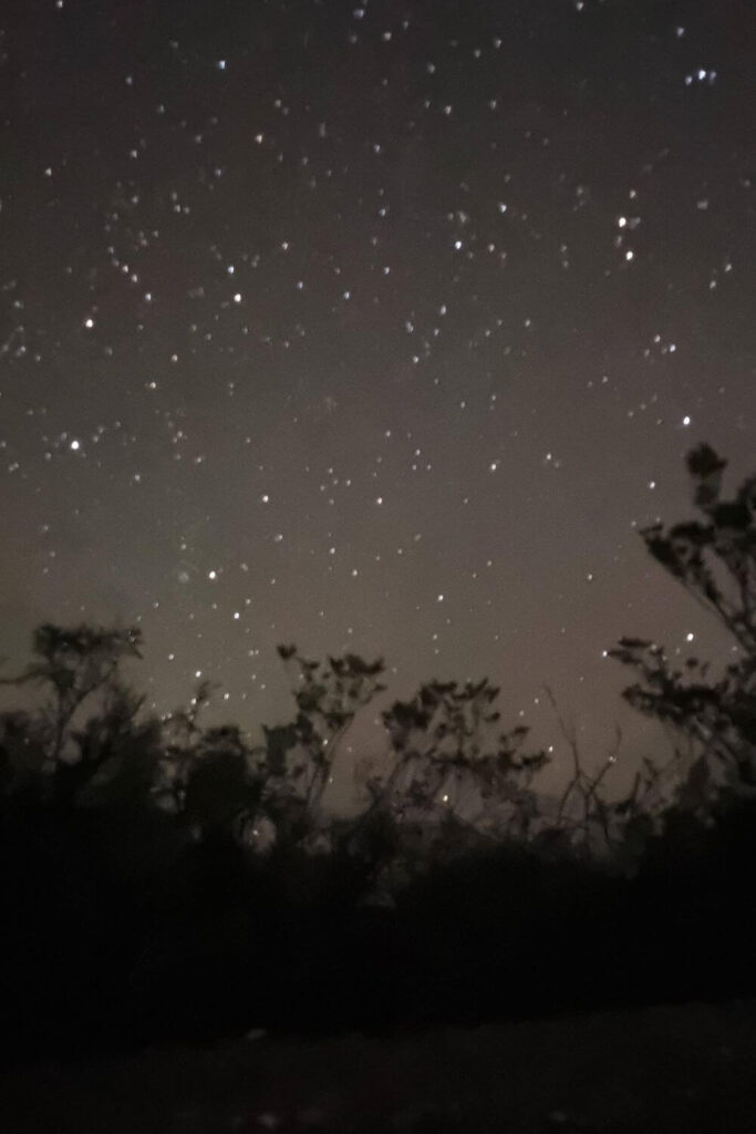 Big Bend National Park | Turismo ETC