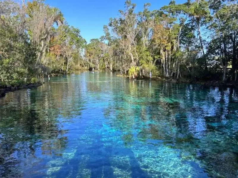 Parques Naturais da Flórida | TurismoETC
